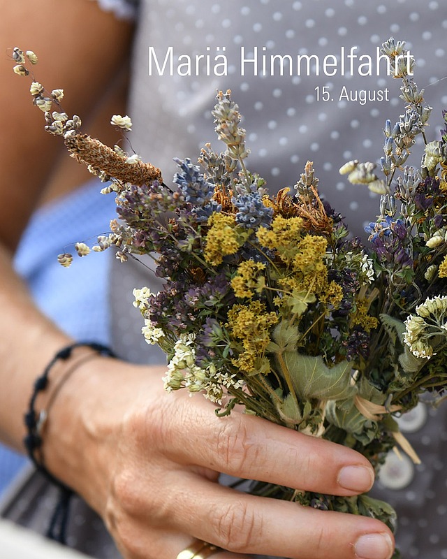 🌿 Kennt ihr den Brauch der Kräuterweihe zu Mariä Himmelfahrt?
Seit dem 8. Jahrhundert gehört die Kräuterweihe zu diesem Hochfest. Dabei werden duftende Sträuße aus bis zu 99 verschiedenen Heilkräutern gebunden: z. B. Johanniskraut, Schafgarbe, Wermut, Thymian, Königskerze oder Kamille 🌼🌾🌱 Die geweihten Sträuße werden zuhause oder im Stall aufgehängt – als Segen und Schutz für Haus und Hof.
✨ Einladung zur Feier in St. Barbara:
Heute, am 15.08.25 um 18 Uhr, lädt die Gemeinde St. Barbara Würzburg zum Gottesdienst mit Marienfeier ein. Im Anschluss wird mit Dämmerschoppen und Imbiss im Hof weitergefeiert.
#MariäHimmelfahrt #Kräuterweihe #würzburg #katholikentag2026
Bild: Adobe Stock